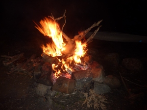 A dead stump burns
